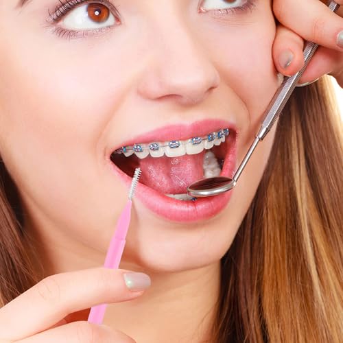 PACKOVE 100pcs Pink Interdental Brushes Set with Storage Case, Soft Gum Toothpicks for Plaque Removal and Braces Cleaning, Portable Oral Care Flossing Brush for Daily Dental Hygiene