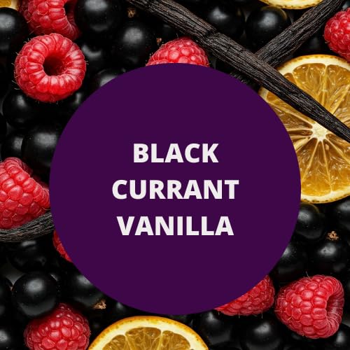 Black Currant Vanilla Scented Body Lotion Jojoba Oil & Lanolin, 12 Oz