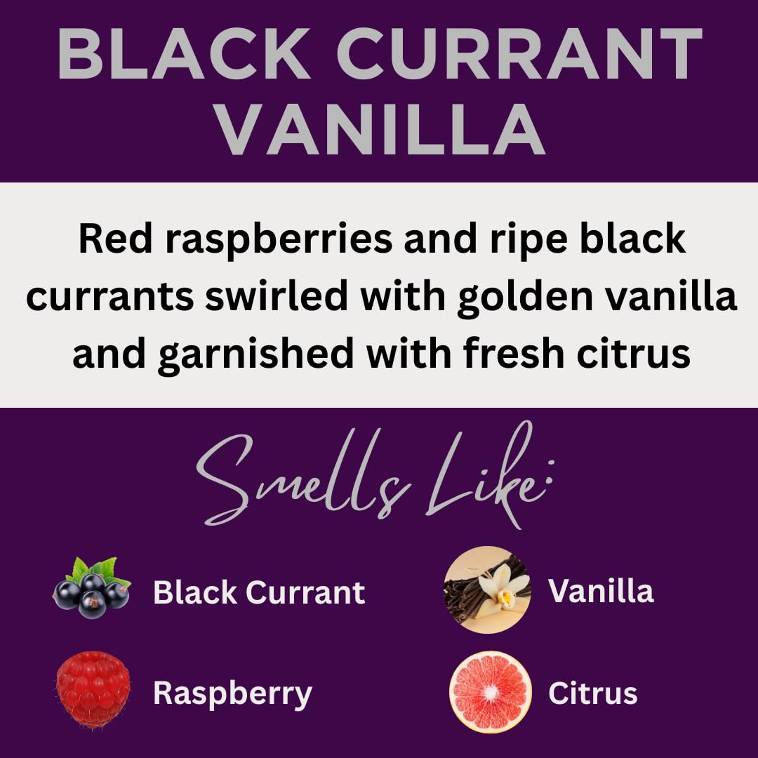 Black Currant Vanilla Scented Body Lotion Jojoba Oil & Lanolin, 12 Oz