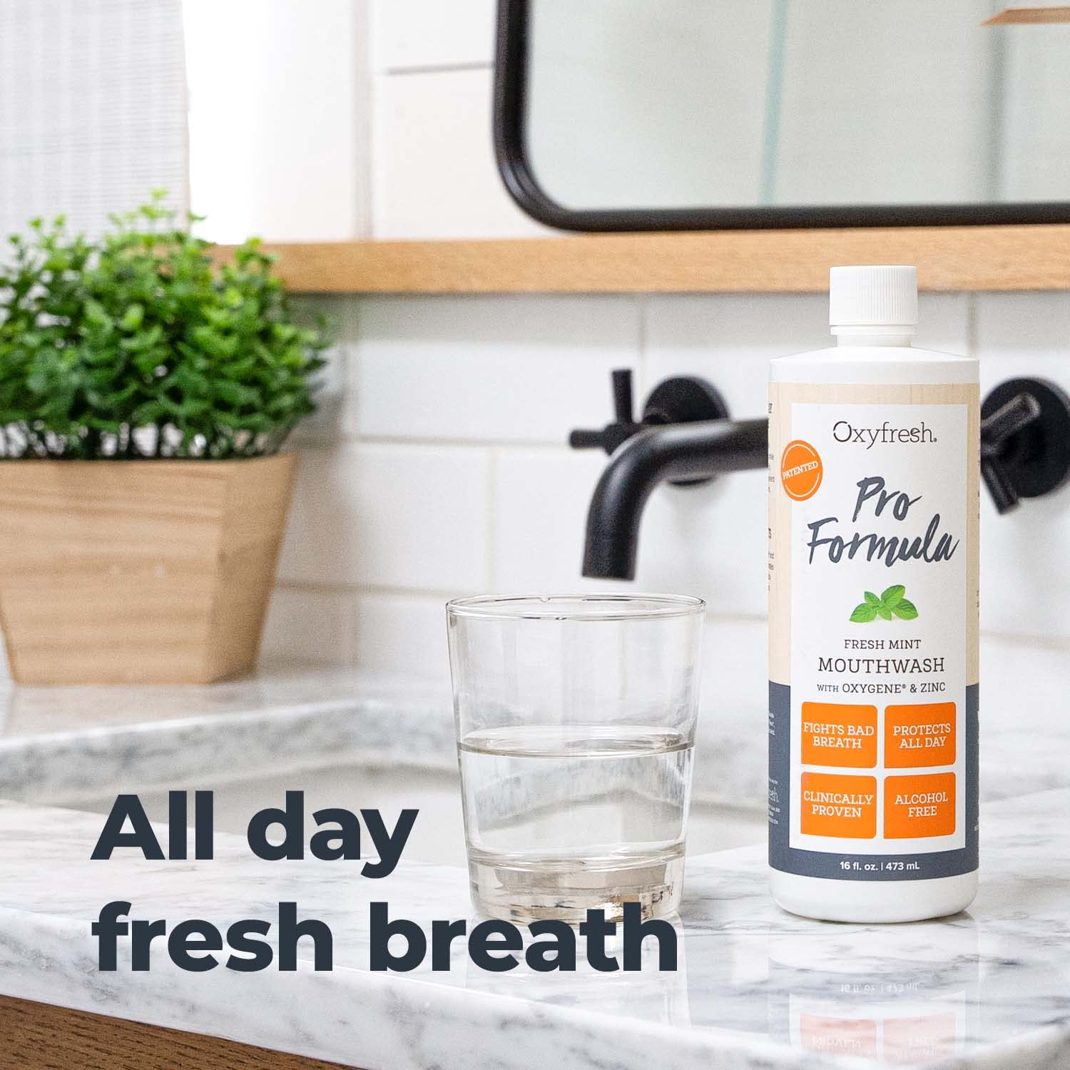 Oxyfresh Pro Formula Fresh Mint Mouthwash – Patented Zinc Mouthrinse for Fresh Breath, Healthy Gums & Bad Breath Treatment for Adults - Dye, Fluoride & Alcohol Free