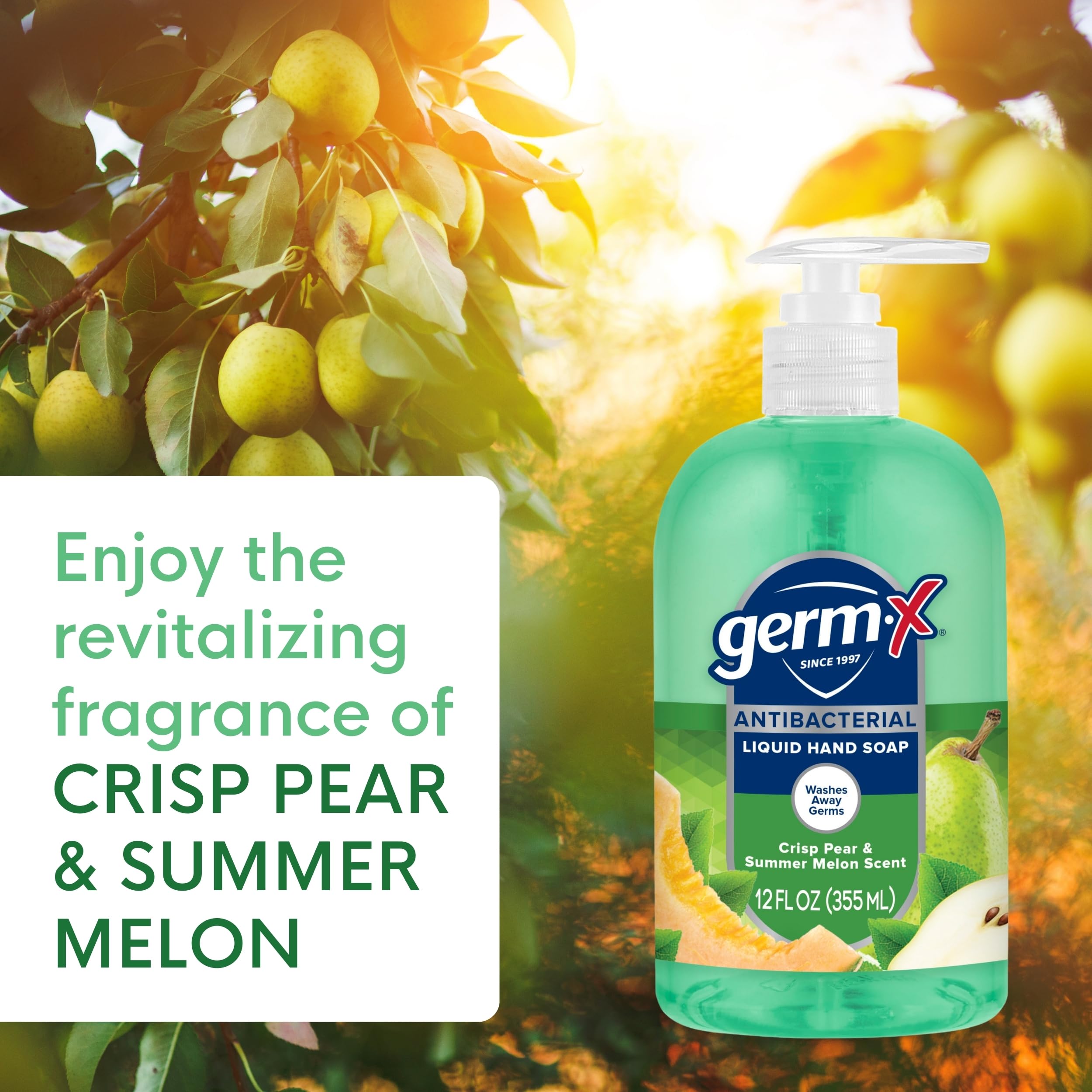 Germ-X Antibacterial Hand Soap